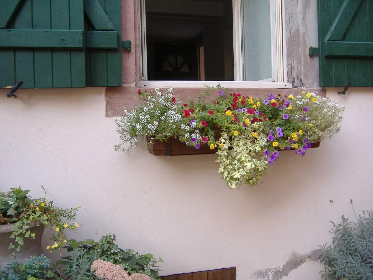 Charmant Petit Appartement En Alsace Bouxwiller  外观 照片