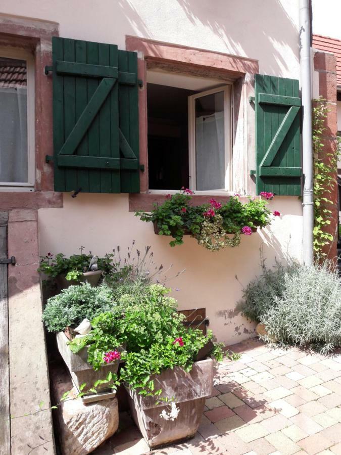 Charmant Petit Appartement En Alsace Bouxwiller  外观 照片